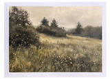 Evergreen Field Wood Framed Print