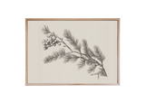 Winter Branch Wood Framed Print