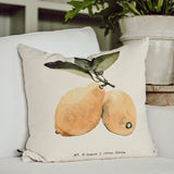 Fruits/Veggies in Color Pillow